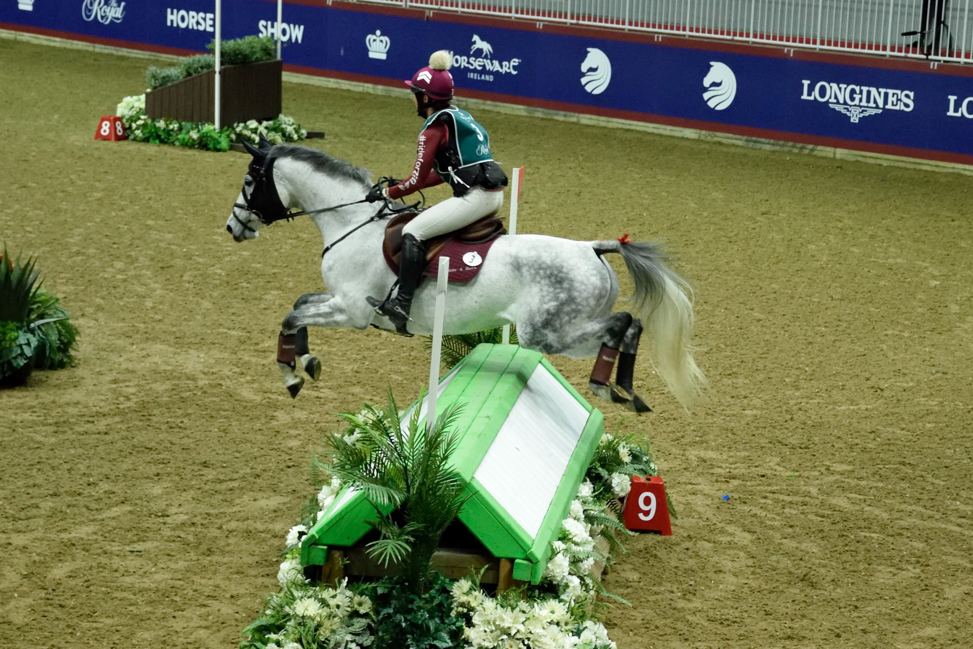 Holly Jacks' Winning Ride in the Indoor Eventing at the 2022 Royal Agricultural Winter Farm - Photo Credit: Ben Radvanyi, Canada's Royal Agricultural Winter Fair